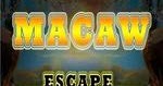 8b Macaw Escape