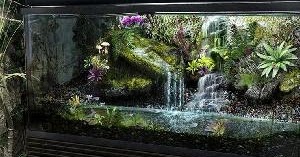 Abandoned Aquarium Escape