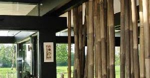 Abandoned Bamboo House Escape