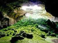 Abandoned Cave Garden Escape