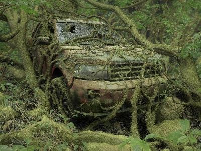Abandoned Jungle Escape