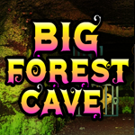 Big Forest Cave Escape