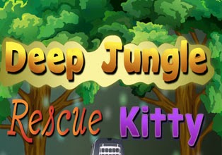 Deep Jungle Rescue Kitty
