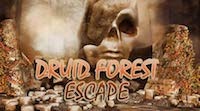 Druid Forest Escape