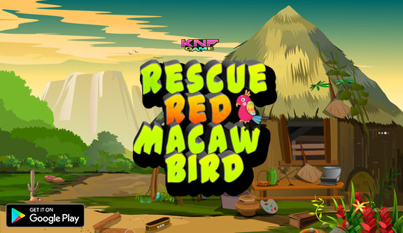 Knf Rescue Red Macaw Bird - Escape Games