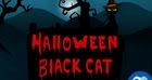 Mirchi Halloween Black Cat
