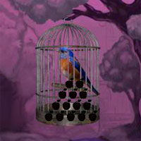 Western Bluebird Escape - Escape Games