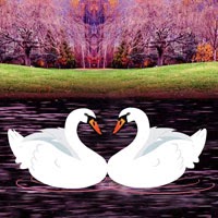 Wow Escape Game: Save the Swan Escape